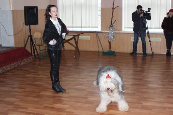 Читати далі...